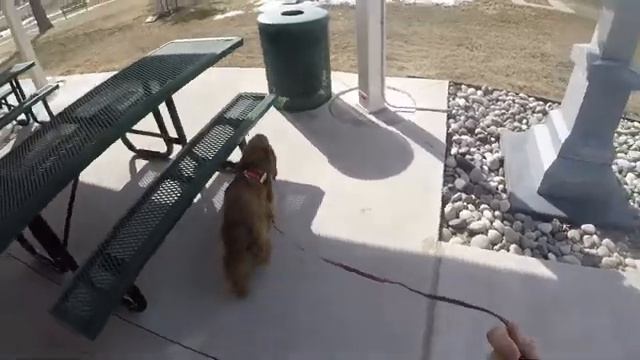 Hart threshold hide March 22, 2019 смотреть онлайн