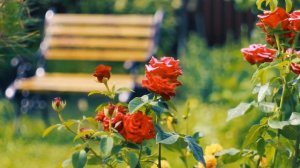 ЭДГАР ТУНИЯНЦ--Я СКУЧАЮ ПО ТЕБЕ.--ГДЕ ТЫ--Я ДУМАЮ О ВАС.--РОМАНС О ЛЮБВИ--Самая&Galina