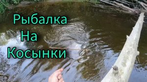РЫБАЛКА НА КОСЫНКИ НА МИКРОРЕЧКЕ.