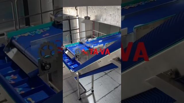 celling modular belt conveyor