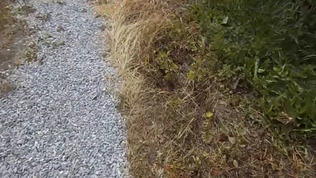 78 Средство от сорняков Торнадо экстра (производитель avgust). Отзыв. смотреть онлайн