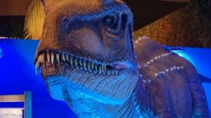 ОСТОРОЖНО! ДИНОЗАВРЫ/ музей динозавров/ Израиль г.Холон/