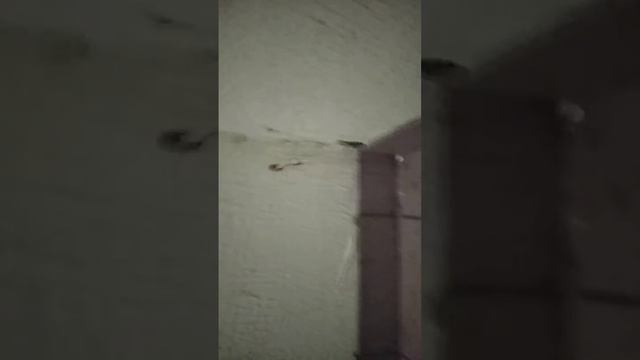кладоискатель...лифт....ненаход(наход потом)