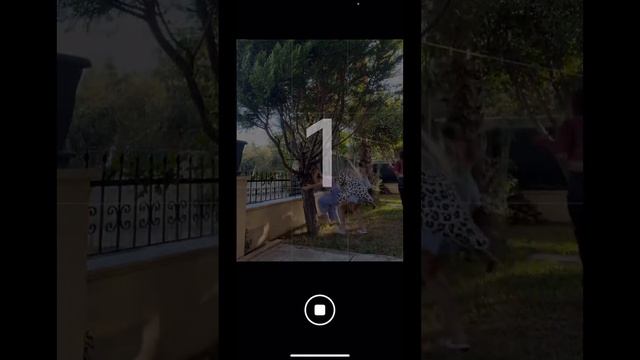 Эта игра явно не для нас 😂 смотреть онлайн