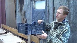 АТ172 Черви любят стабильность. Черви Дендробена, Старатели
