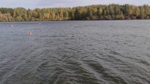 ECO-EXPERT-MINI (Взрослые) первая попытка, Кубок Пензенской области по судомодельному спорту 2024