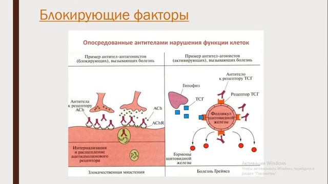 Механизмы ускользания опухолей от иммунного надзора