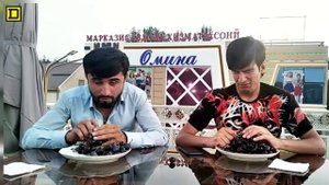 #тезхрак Азизбек кучкар Абдурозик доган блогер