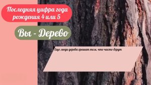 Ты родился не случайно! Твоя душа выбрала год рождения! Последняя цифра года определяет твою судьбу!