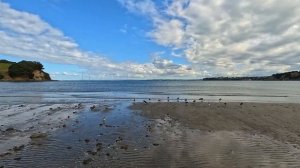 Bird's Eye View of Whangaparaoa Peninsula in 4K Ultra HD. Auckland, New Zealand