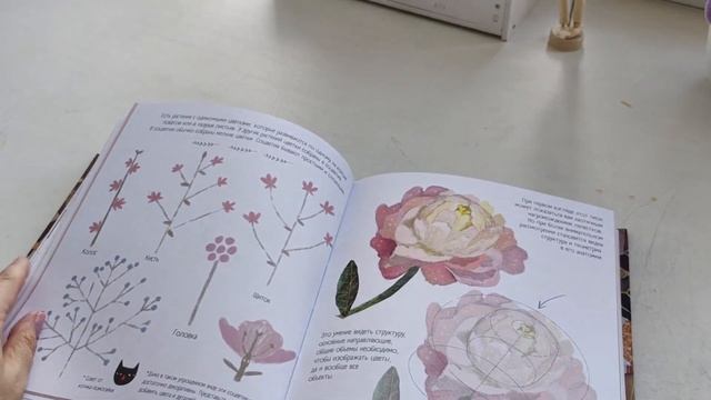 Обзор книги "Настольная книга художника. Учимся рисовать с Кариной Кино"