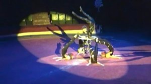 Экспресия каучук Арлекино Першотравенськ