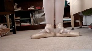 My Dead Sansha Recital Pointe Shoes