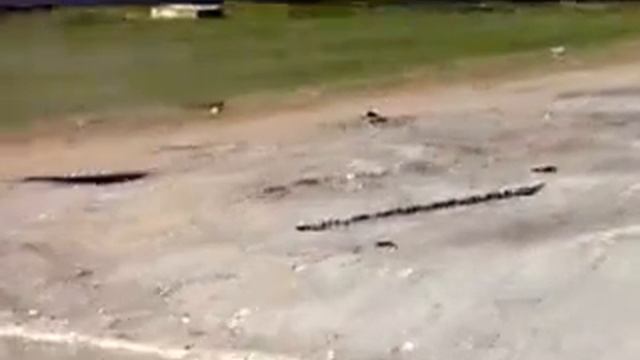 дороги в серафимовиче смотреть онлайн