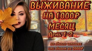 КАК ПРОЖИТЬ НА 1000₽ МЕСЯЦ НА ЧЕЛОВЕКА?!ЖИВЁМ ВДВОЕМ НА 2000₽ В МЕСЯЦ! ЭКОНОМНОЕ МЕНЮ НА МЕСЯЦ!2024