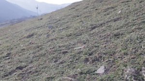 Село Ичин. Сулейман Стальский район. Дагестан.