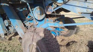 Чистка орлика