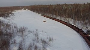 УЖД Гороховского торфопредприятия. Кировская область