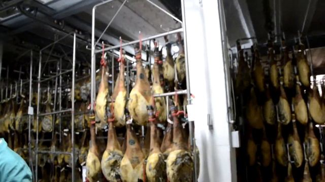 Хамон -это визитная карточка Испании. Iberico. Фабрика TARTESSOS