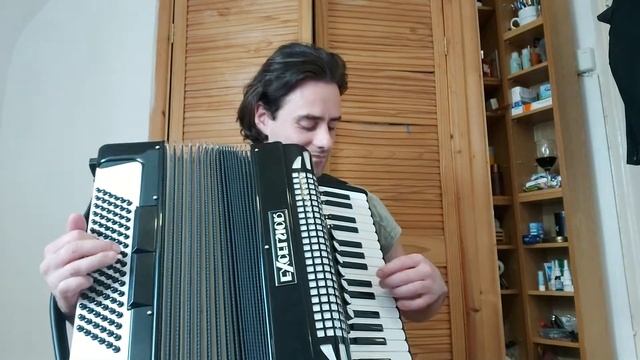 Fisarmonica Impazzita - Crazy accordion смотреть онлайн