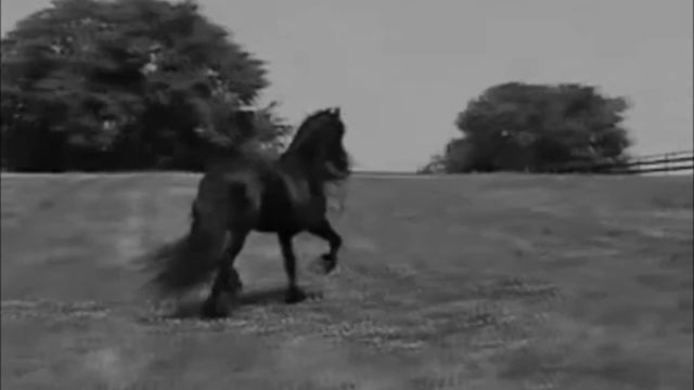 CHRISTINA CAMARA - Du gehst mir unter die Haut - Je t'ai dans la peau E. Piaf- official music vide смотреть онлайн