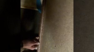 Процесс создания гнутых поверхностей. Проект. Профиль САПР