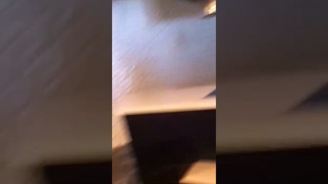 Обзор SIRIUS DELUXE HOTEL, AVSALLAR, TURKEY смотреть онлайн