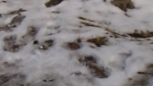 DSCN2829Чегем Нальчик 2020 Февраль