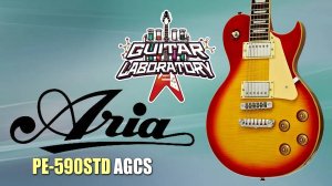 Электрогитара Aria PE-590STD - бюджетный Лес Пол