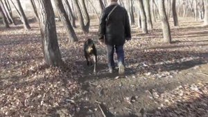 Жила была собака