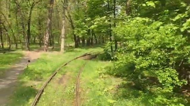 Київ. Екскурсія в Трамваї-Кафе (001) 03.05.2008 смотреть онлайн