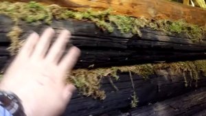 Проект: Баня по черному. Ч1 - ремонт парилки