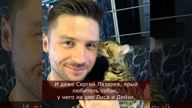 Любимые котики знаменитостей. От породистых, до подобранных с улицы.
