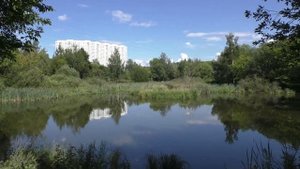 Джамгаровский пруд и парк в Москве