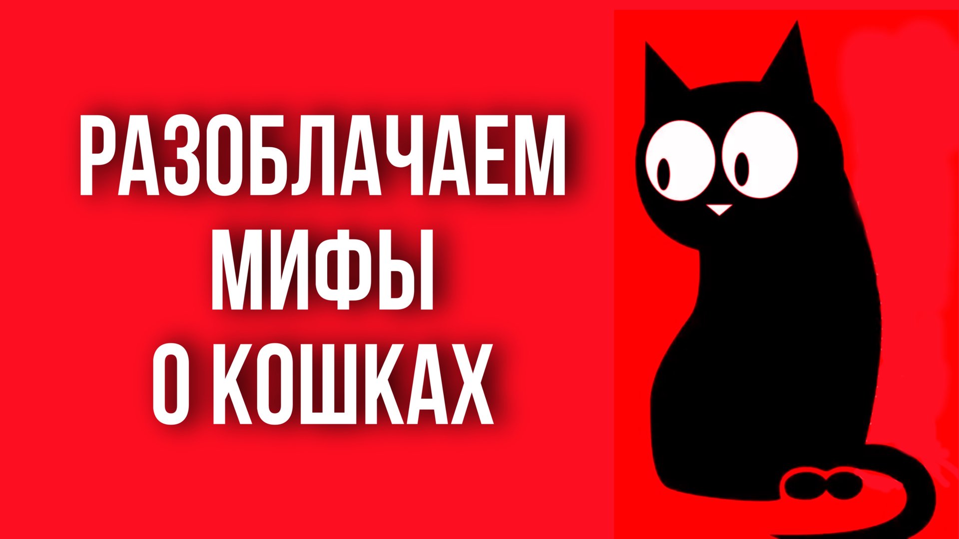Разоблачаем мифы о кошках смотреть онлайн