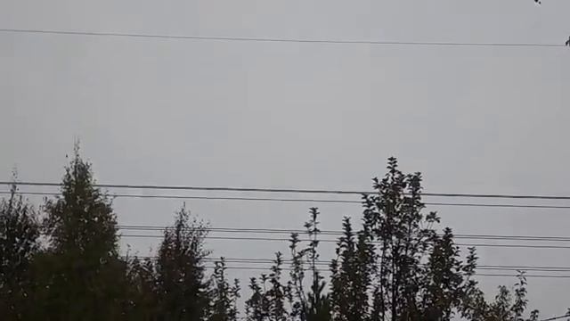 6. Дрозды и дятел обожают яблоки смотреть онлайн