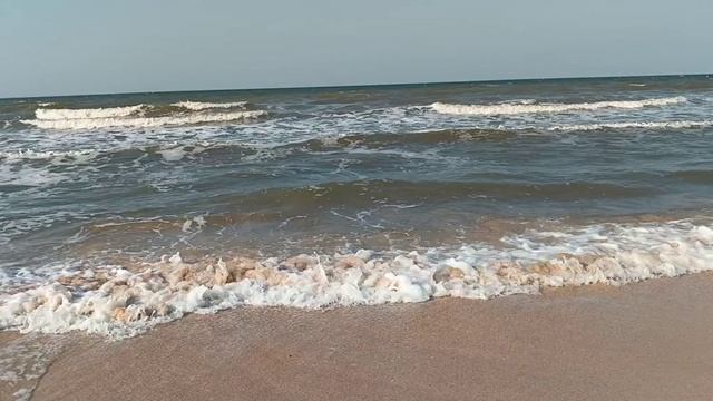 7 серия. Прощай Голубицкая. 2024