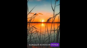 РОДИНА—МАТЬ