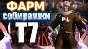 Заработок собирашки 7 тира во Мгле Albion Online | Pro Leto