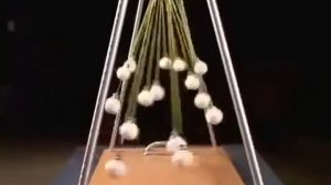 Чудеса физики. Завораживающее видео!