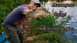 Рыбалка на Москве реке! Фидер! Атака бычков и ершей.