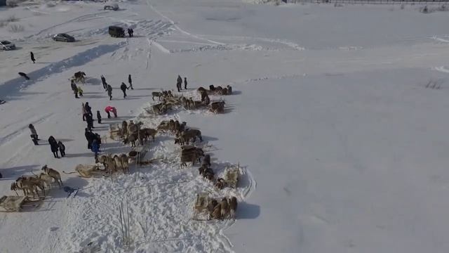Сортым смотреть онлайн