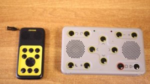 Работа с тифлофлешплеерами от компании ElecGeste