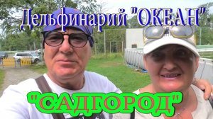 Обзор дельфинария «Океан» в Садгороде, Владивосток