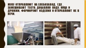 Откуда хлеб пришел🥐🍞🥖