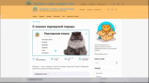 Кейс ученика: Mycatinbox.ru — блог на Wordpress о домашних кошках