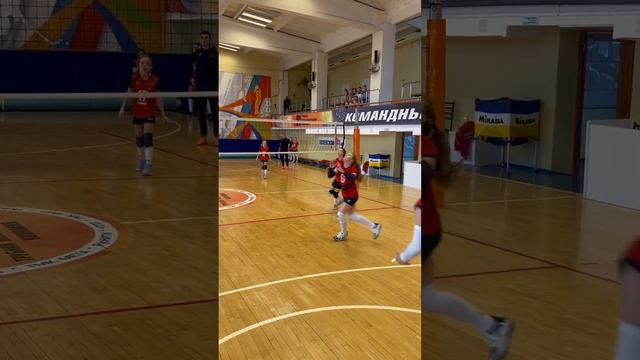 Захватывающий волейбол #volleyball #sport