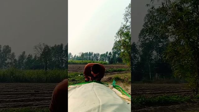 kyon aakar ro Raha hai Mohammed ke shahar mein peer baba$#trending #reels #edit #khuda
