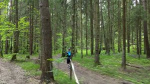 Беговой влог с дрона. Начал подготовку к трейловому забегу на 50 км в рамках GRUT 2023.