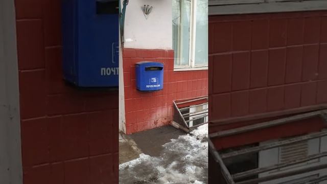 Yandex Robot Mail Delivery Service in Moscow